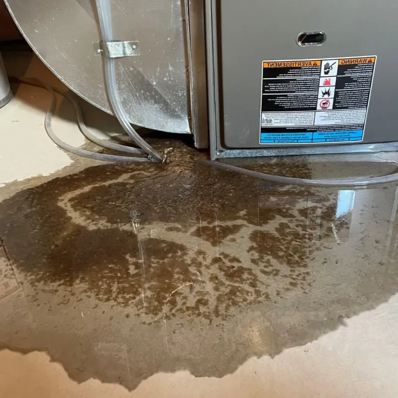 Pipe Burst and Leak Restoration in Blue Bell, PA